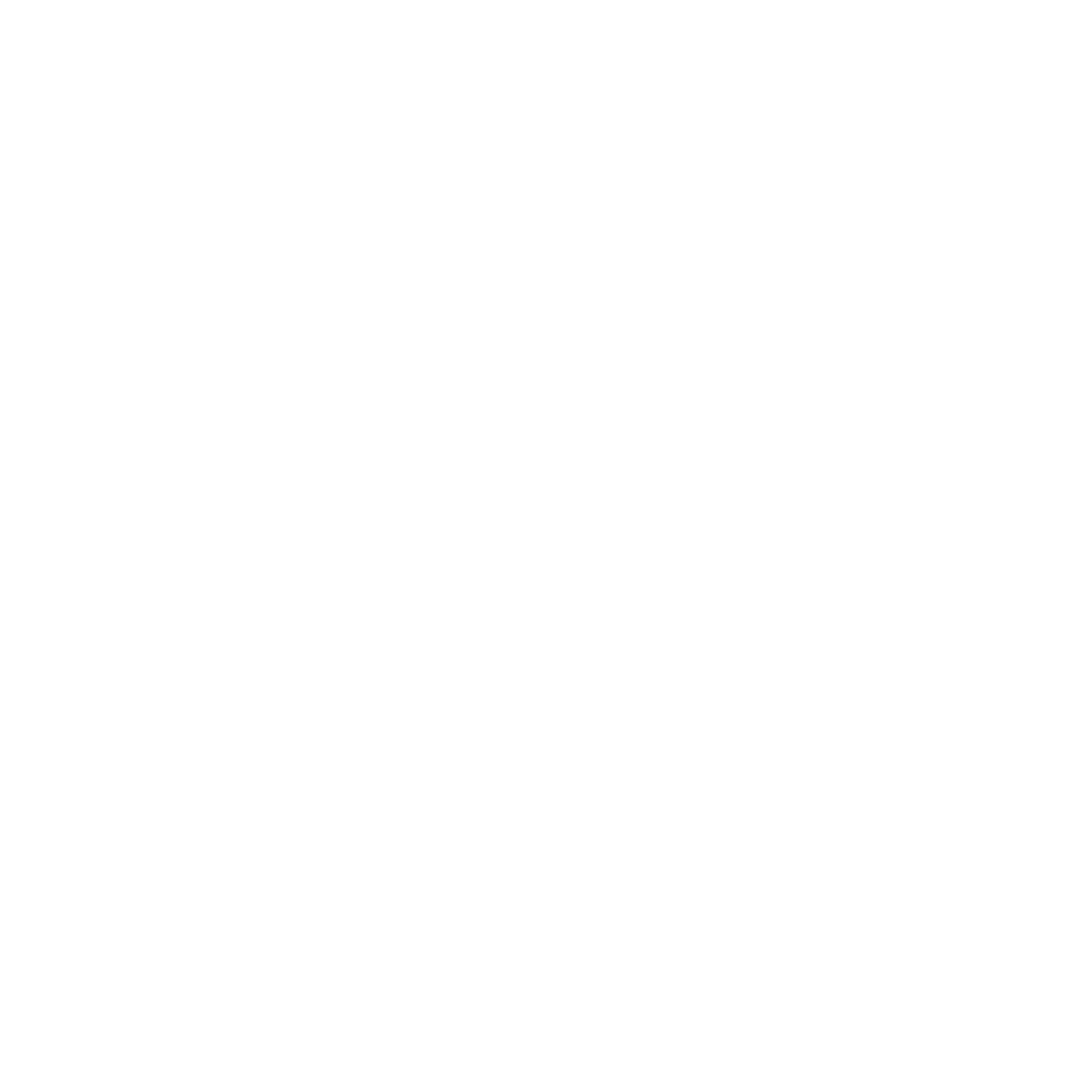 logo_white_transparent